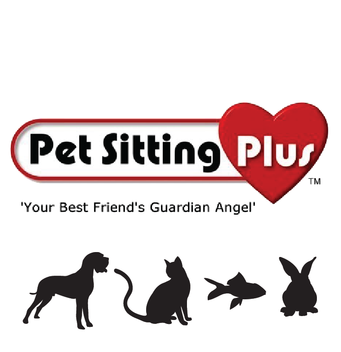 Small animal sale pet sitting